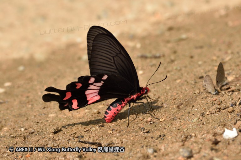 150402_chiangdao_032.jpg