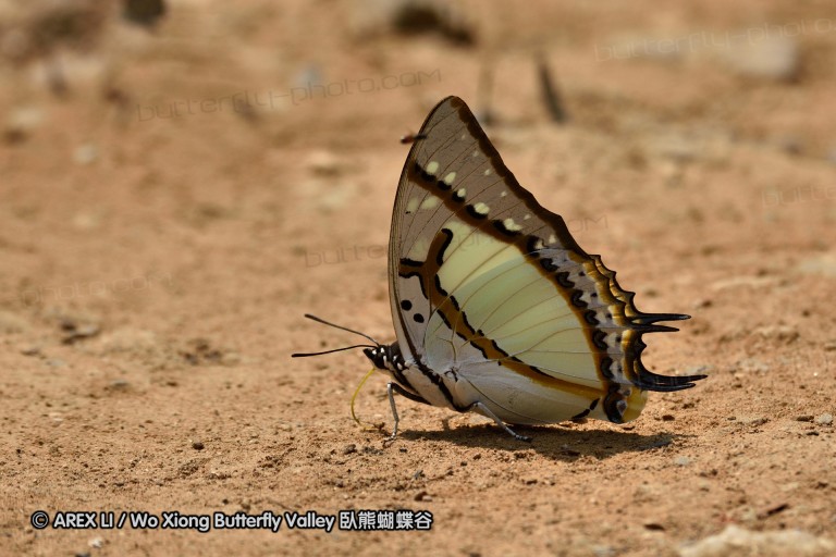 150402_chiangdao_038.jpg