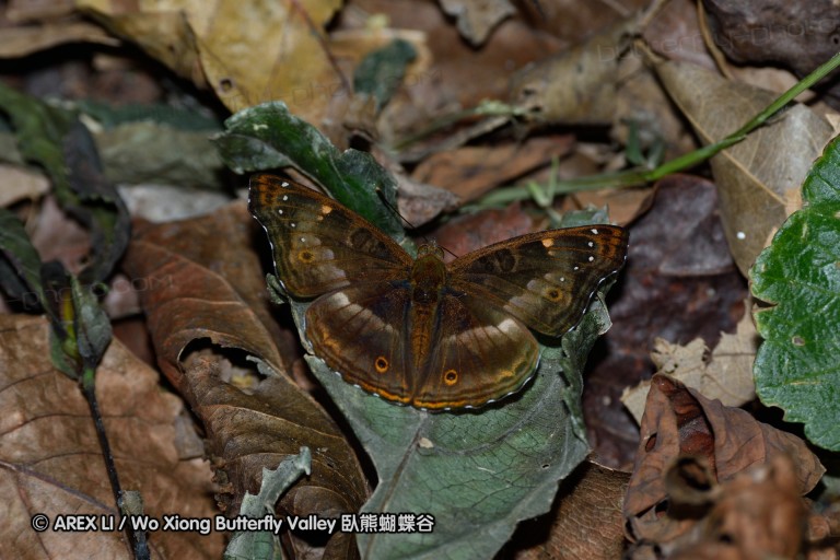 150402_chiangdao_078.jpg