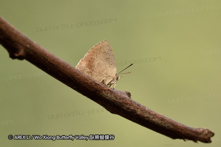 150402_chiangdao_098.jpg