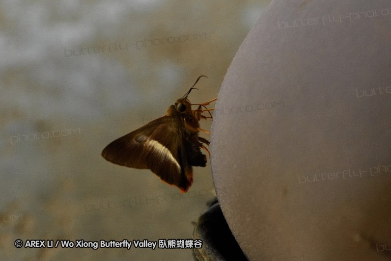 150402_chiangdao_130.jpg