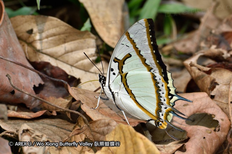 150403_suthep_015.jpg