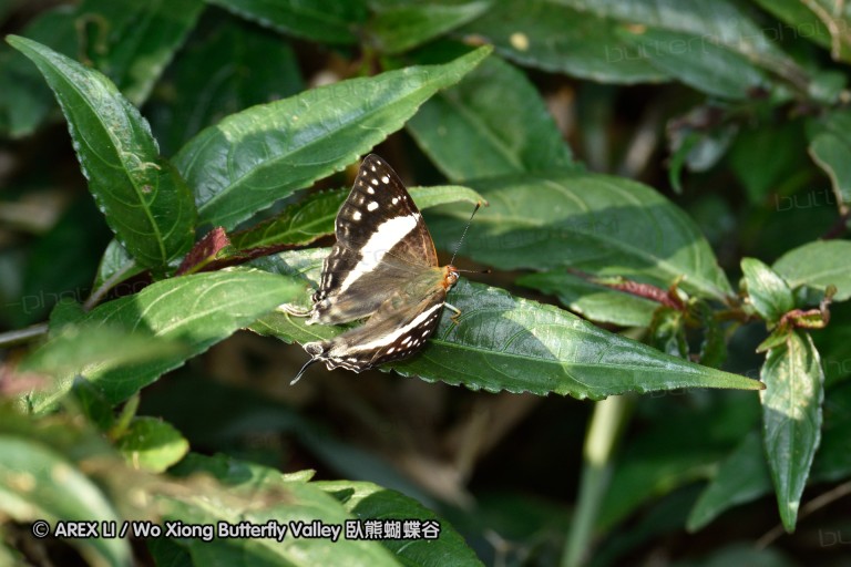 150403_suthep_017.jpg