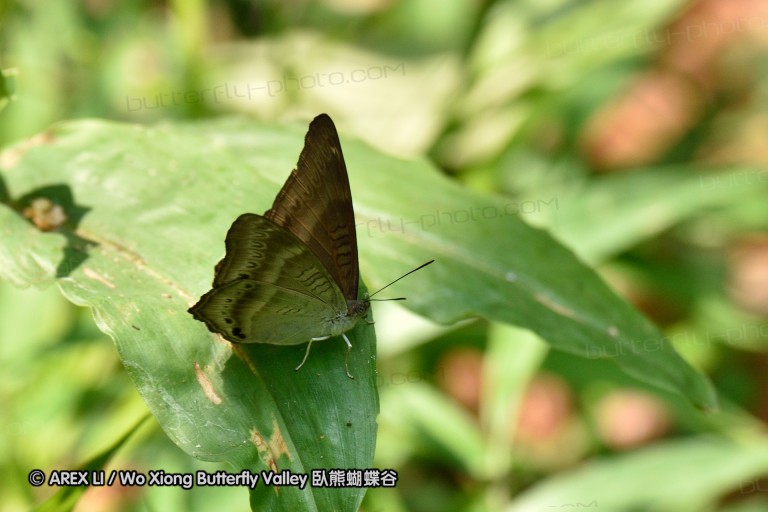 150403_suthep_043.jpg