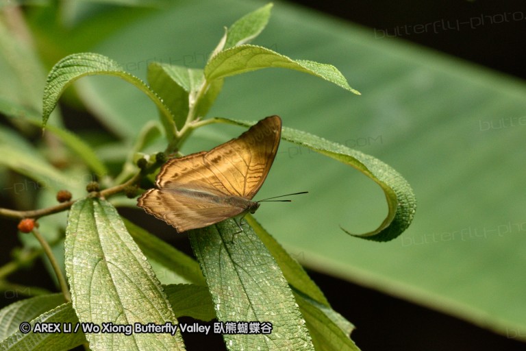 150403_suthep_045.jpg