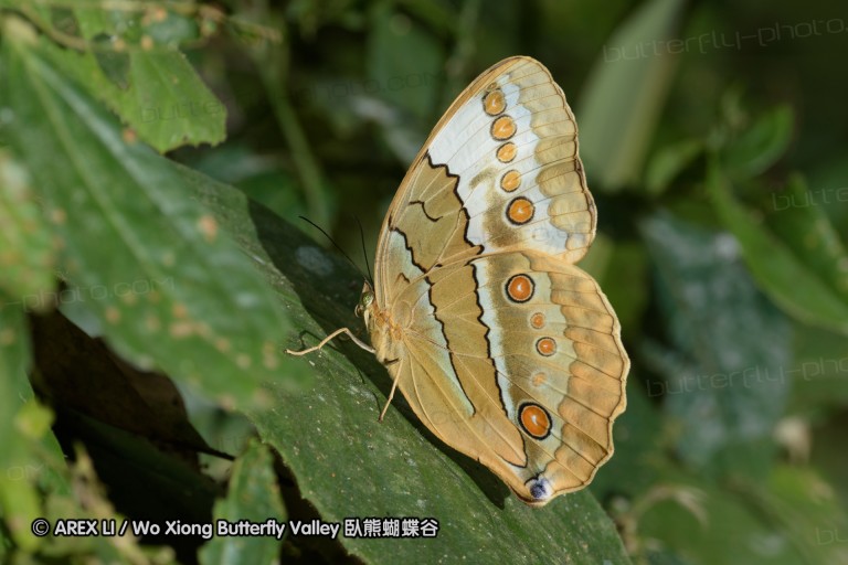 150406_maekampong_09.jpg