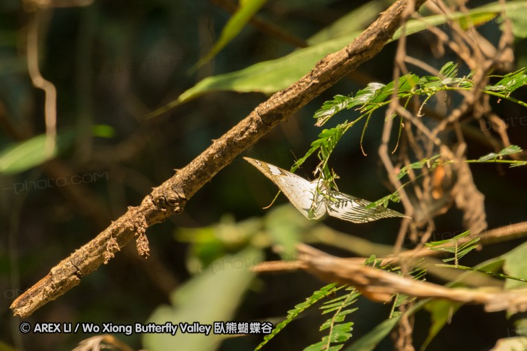 150406_maekampong_46.jpg