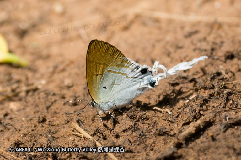 150430_chiangdao_12.jpg