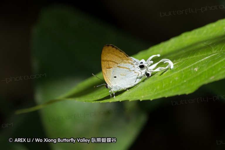 150430_chiangdao_19.jpg