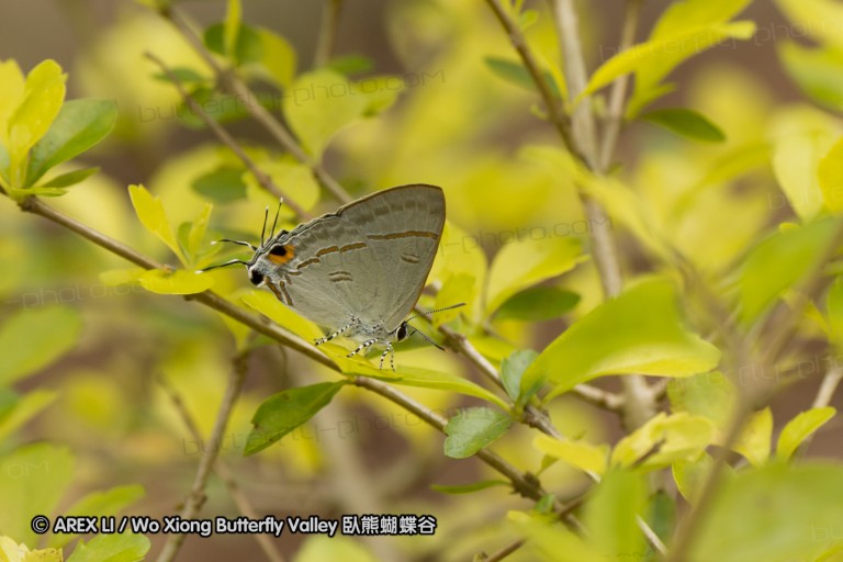 150430_chiangdao_32.jpg
