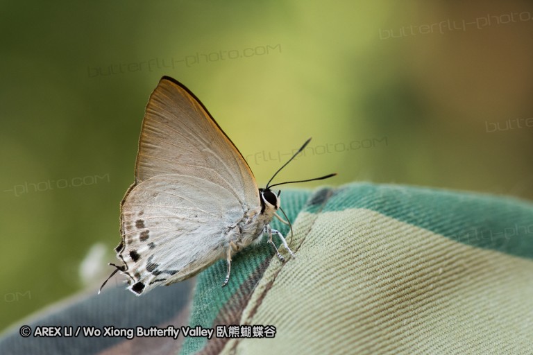 150430_chiangdao_54.jpg