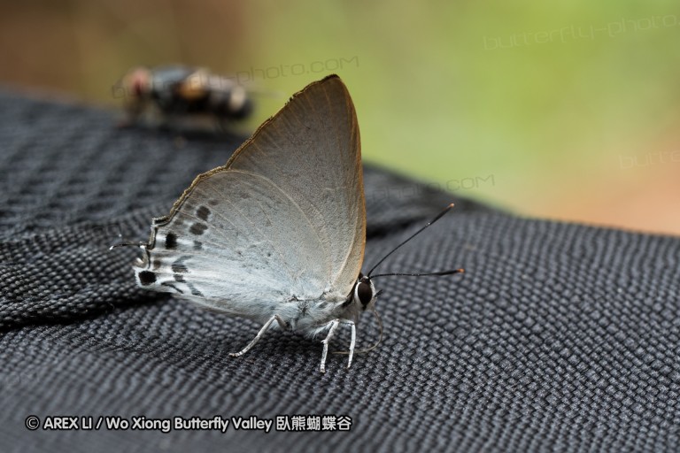 150430_chiangdao_63.jpg