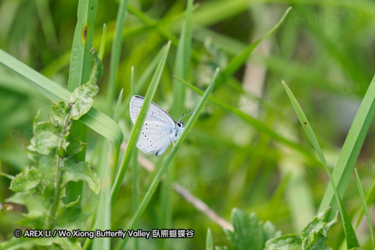 150518_de_valepp_38.jpg