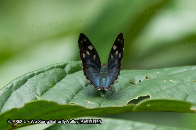 151109_laguna_de_taracoa_039.jpg