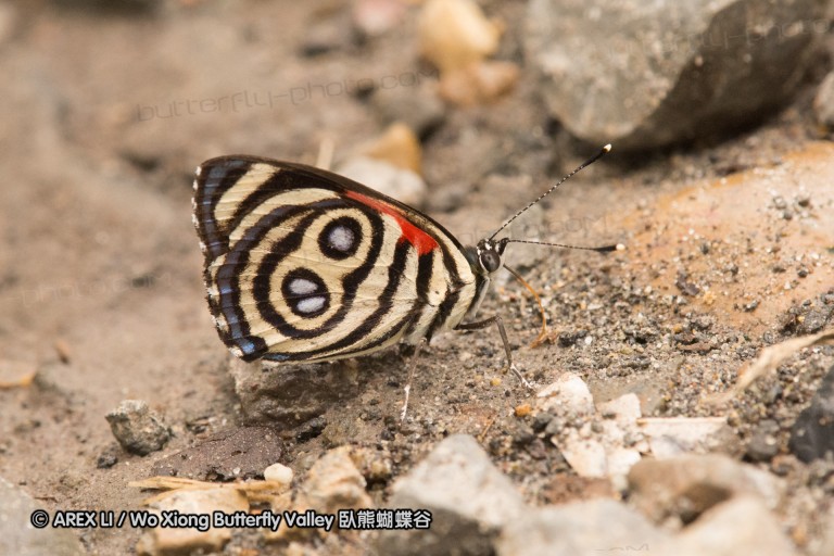 151109_laguna_de_taracoa_046.jpg