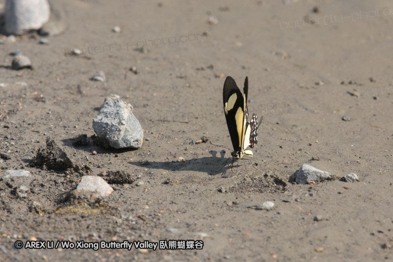 151109_laguna_de_taracoa_075.jpg