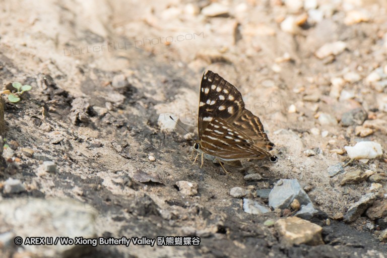 160925_baihuazhai_18.jpg