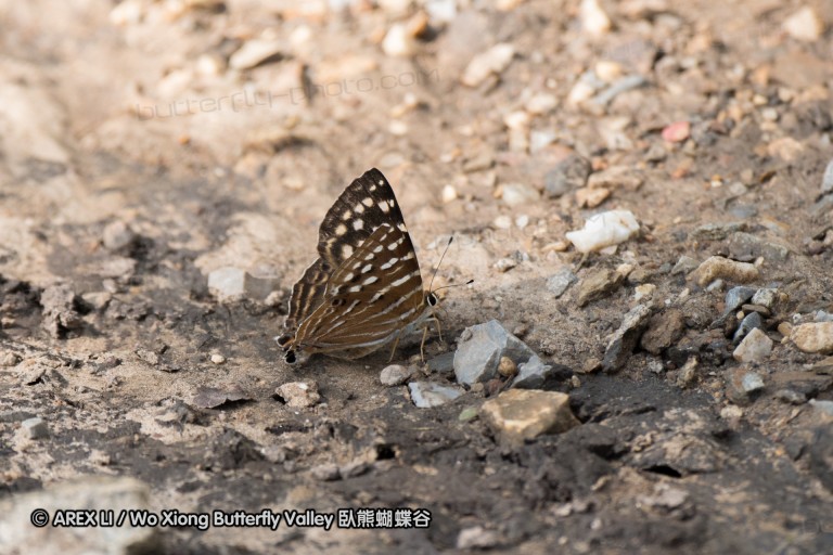 160925_baihuazhai_19.jpg