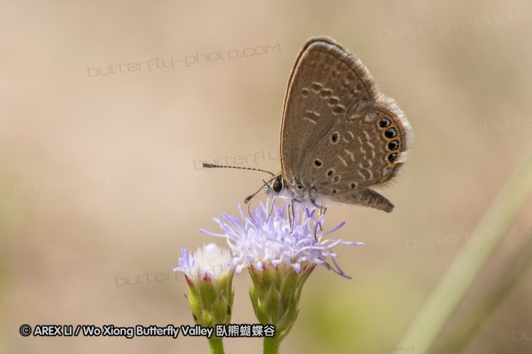 161030_tc_01.jpg