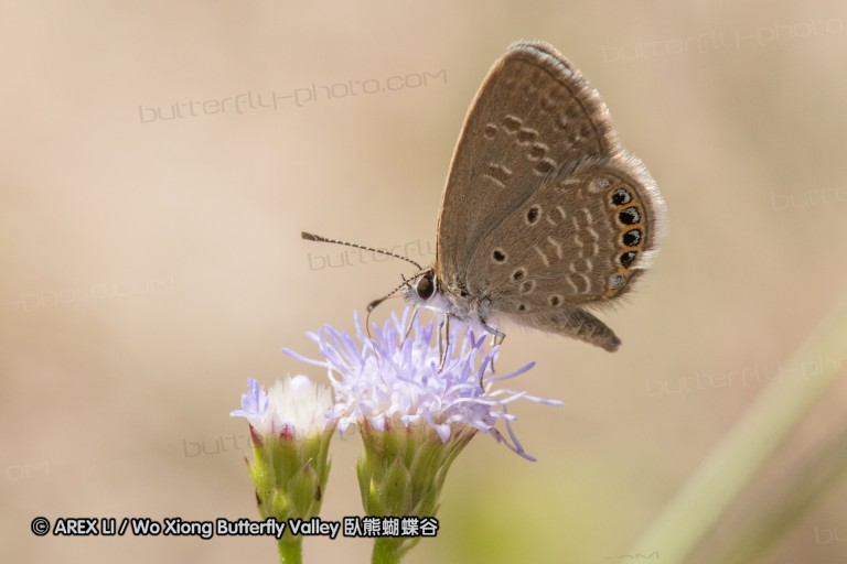 161030_tc_02.jpg