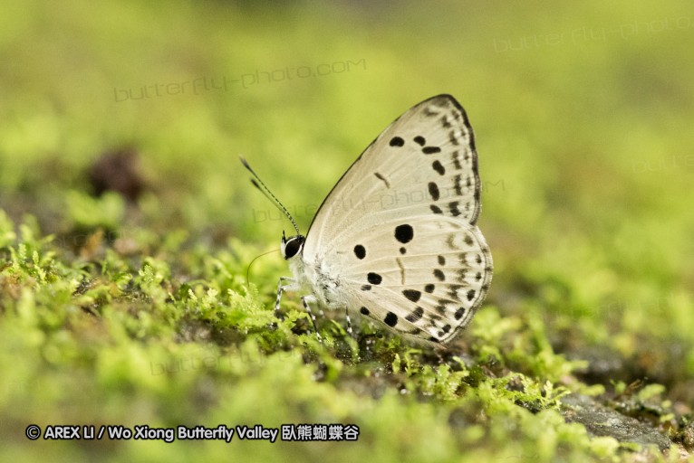 161211_betong_14.jpg