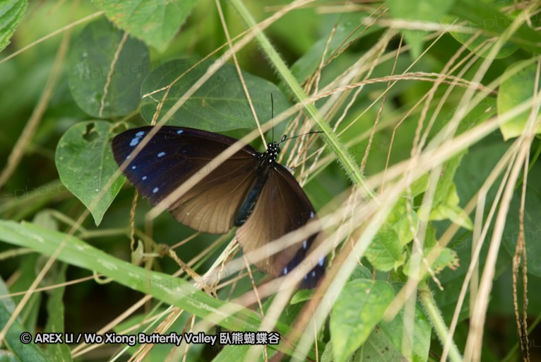 161211_betong_22.jpg