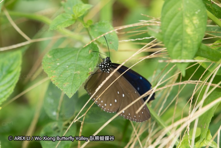 161211_betong_23.jpg