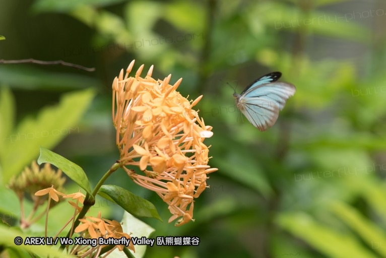 161211_betong_24.jpg