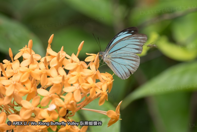 161211_betong_25.jpg