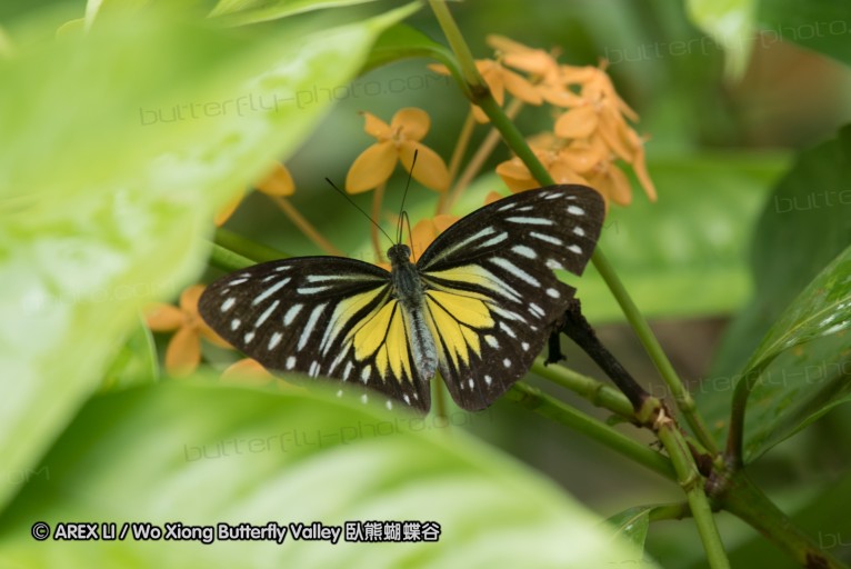 161211_betong_27.jpg
