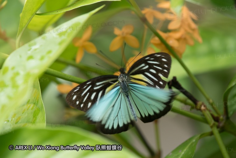 161211_betong_28.jpg