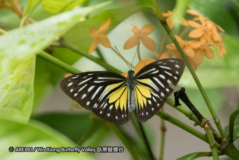 161211_betong_29.jpg