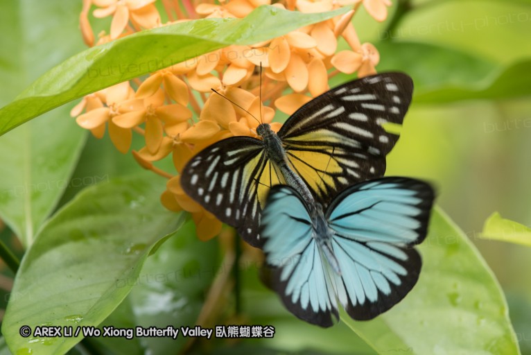 161211_betong_31.jpg