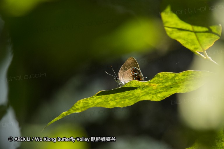 161217_betongtemple_05.jpg