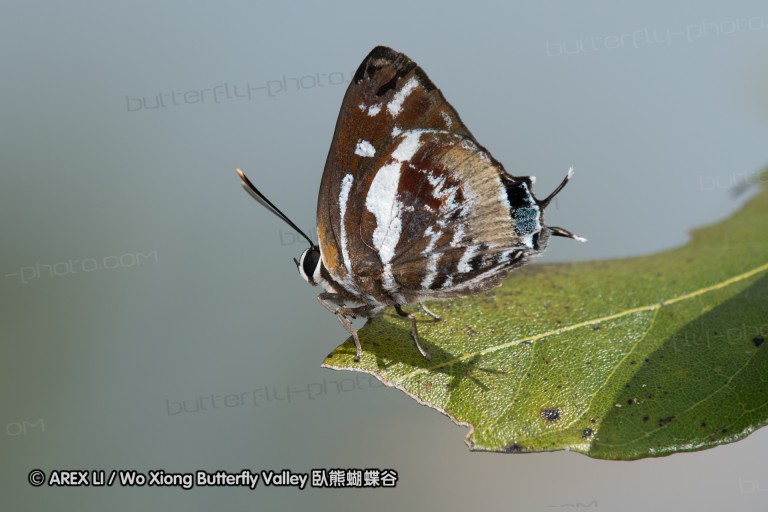 161217_betongtemple_11.jpg