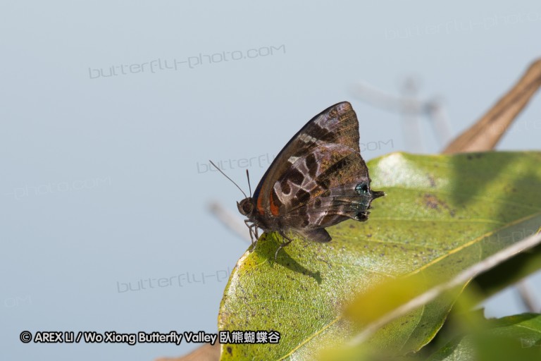 161217_betongtemple_14.jpg