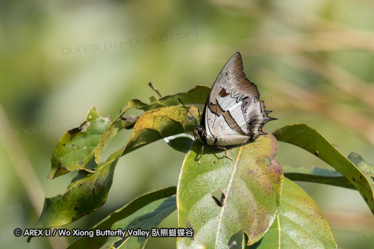 161217_betongtemple_33.jpg