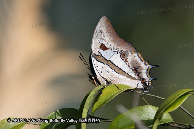 161217_betongtemple_35.jpg