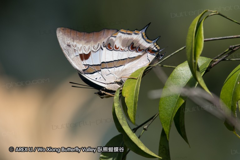 161217_betongtemple_36.jpg