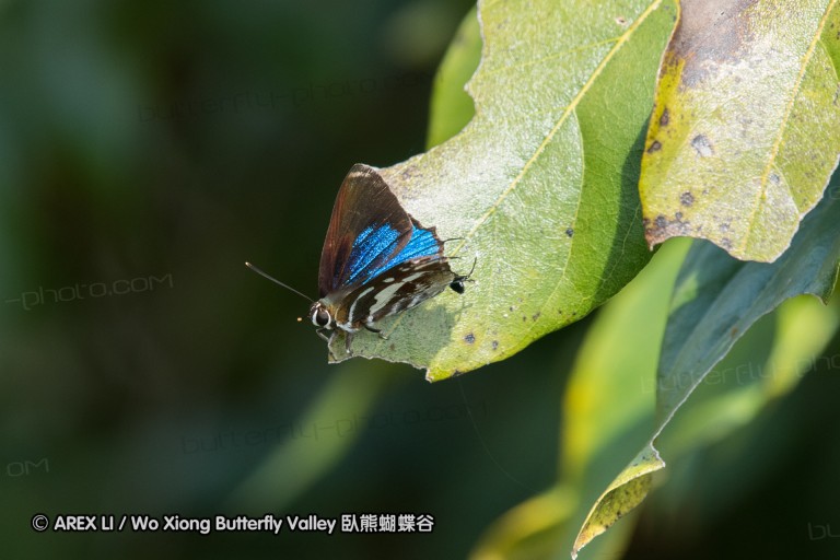 161217_betongtemple_40.jpg