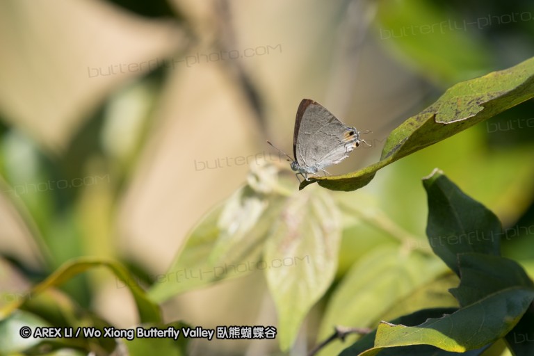 161217_betongtemple_42.jpg