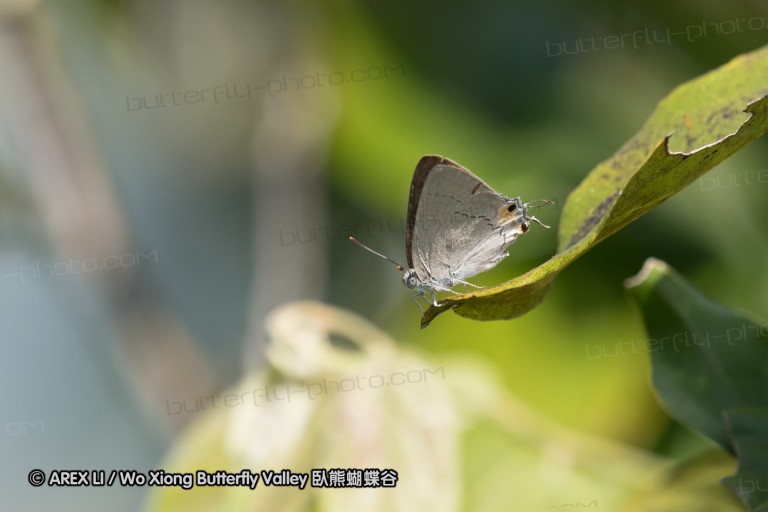 161217_betongtemple_44.jpg