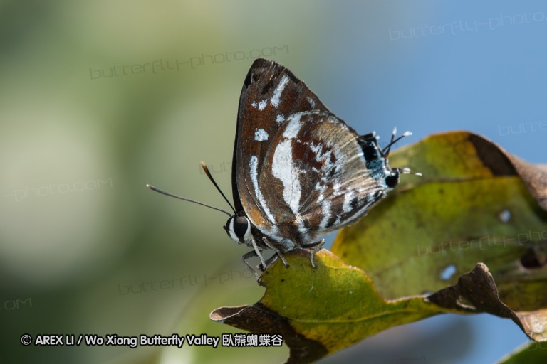 161217_betongtemple_47.jpg