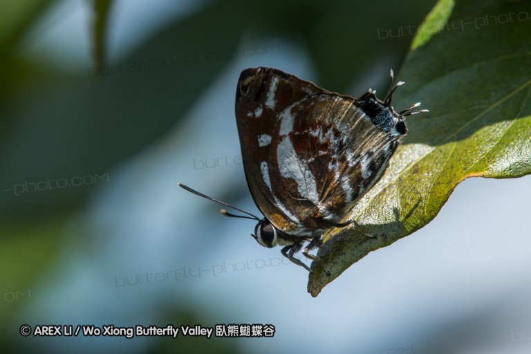 161217_betongtemple_49.jpg