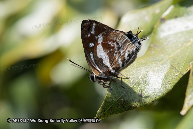 161217_betongtemple_55.jpg