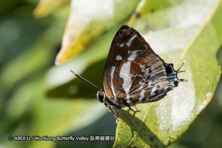161217_betongtemple_56.jpg