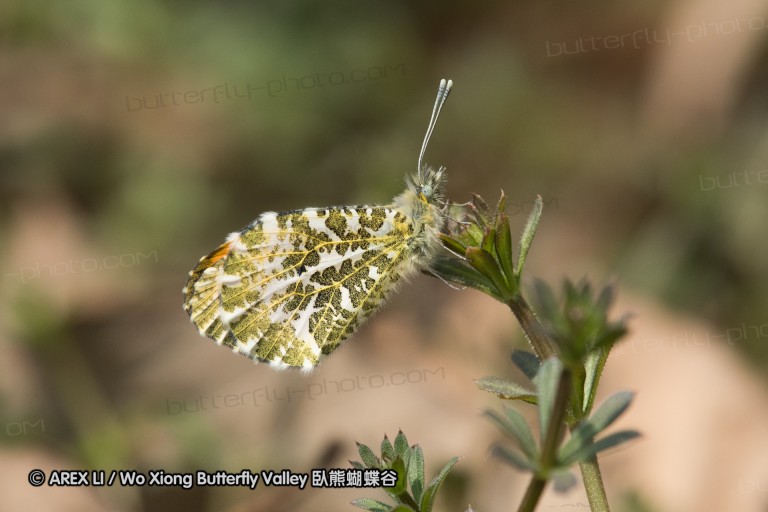 170311_nanjing_24.jpg