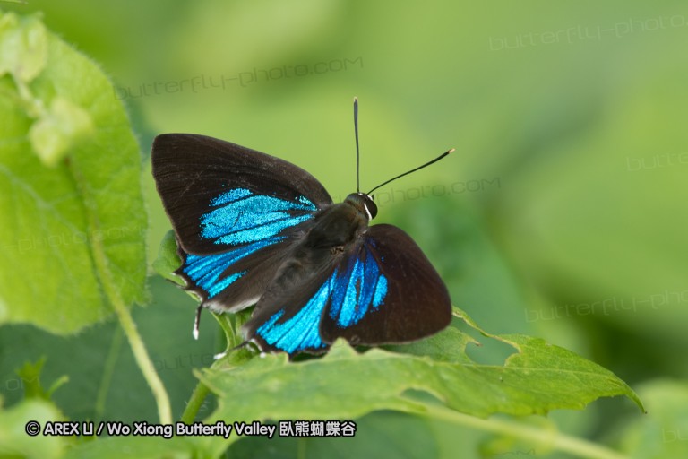 170402_gopeng_12.jpg