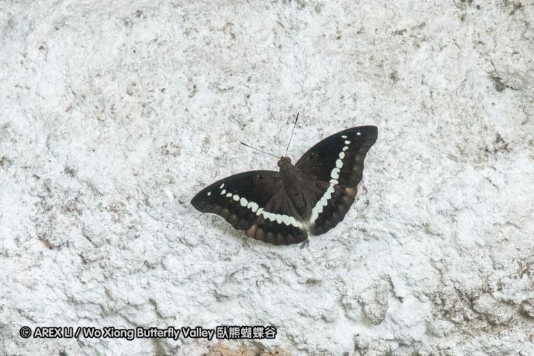 170402_gopeng_42.jpg