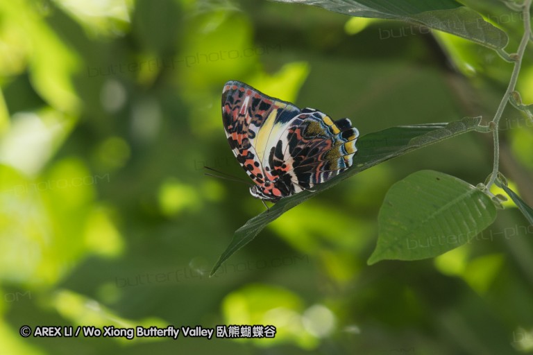 170403_gopeng_18.jpg
